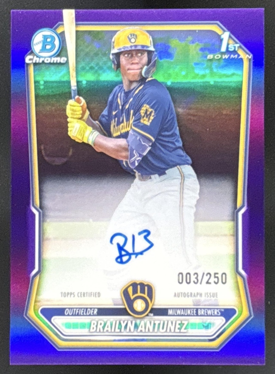 Card image for 2026 Bowman Brailyn Antunez Chrome Auto Purple Refractor /250 1st Prospect