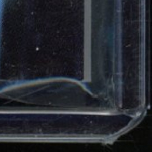 image6